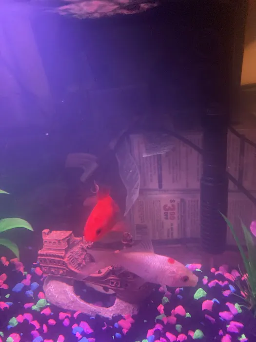 The Fish Tank Guy Inc Picture 9