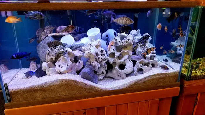 The Fish Tank Guy Inc Picture 8