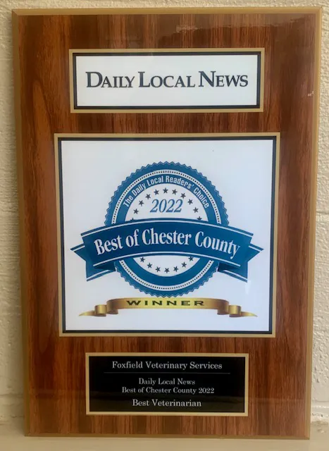 Foxfield Veterinary Services Picture 9