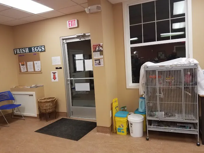 Aardvark Animal Hospital Picture 7