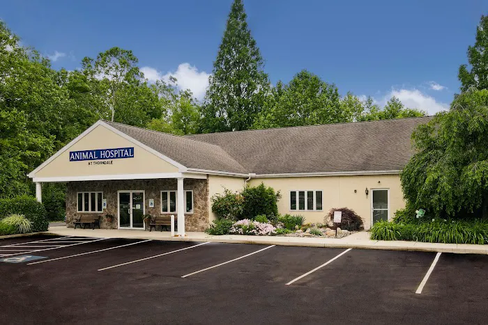 Animal Hospital at Thorndale Picture 3