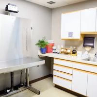 Animal Hospital at Thorndale ico