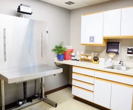 Animal Hospital at Thorndale