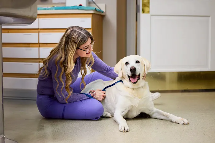 Animal Hospital at Thorndale Picture 4