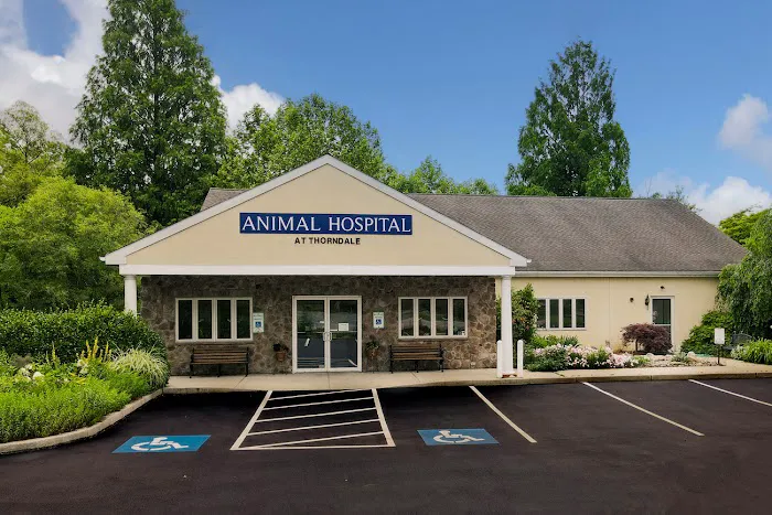 Animal Hospital at Thorndale Picture 2