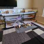 Critter Care Veterinary Hospital in Thorndale PA