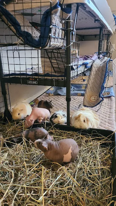 Critter Care Veterinary Hospital in Thorndale PA Picture 4