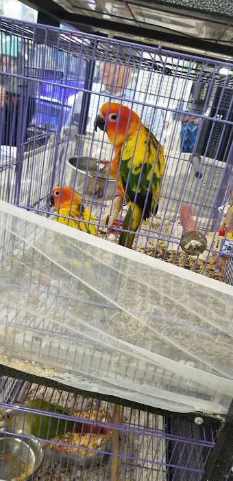 Value Pet Center Picture 2