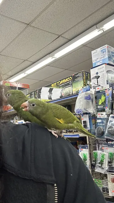 Value Pet Center Picture 3