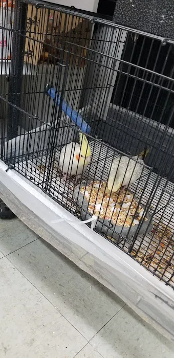 Value Pet Center Picture 5