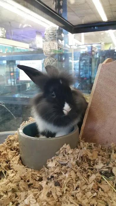 Value Pet Center Picture 4