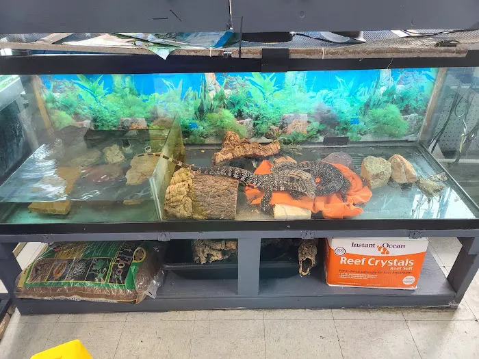 Value Pet Center Picture 7