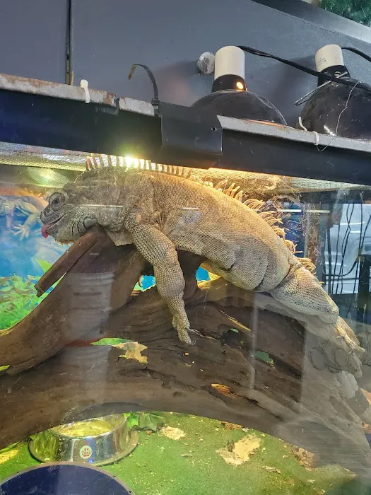 Value Pet Center Picture 9
