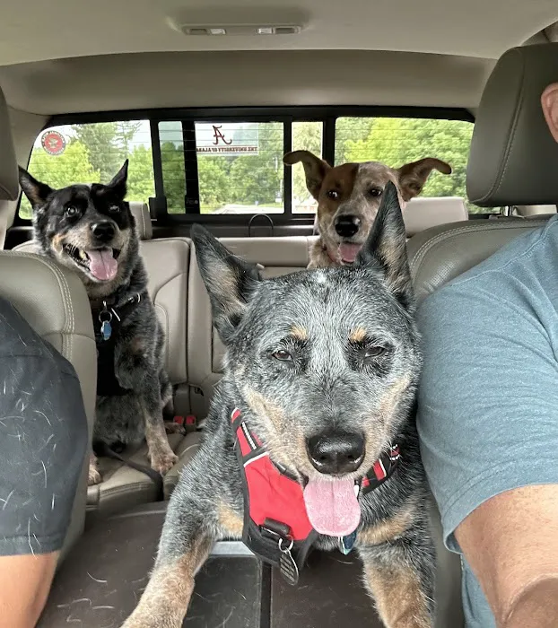 Applebrook Inn Veterinary Center & Pet Resort Picture 3