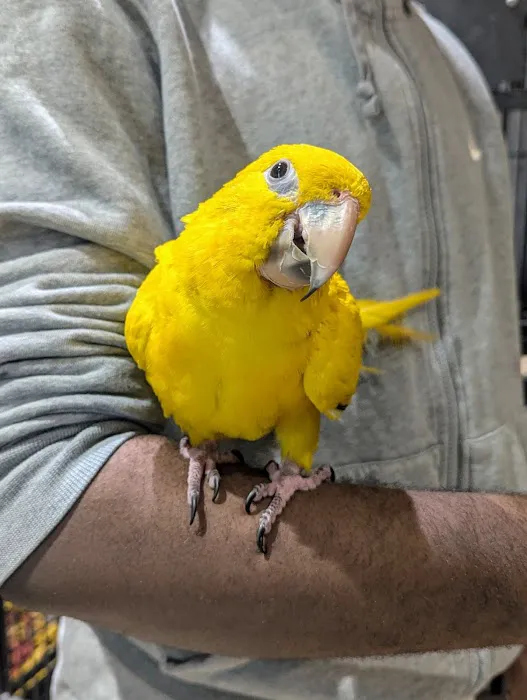 Garden State Pet Center Picture 4