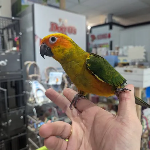 Garden State Pet Center Picture 5