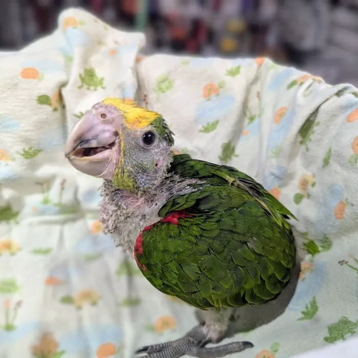 Garden State Pet Center Picture 2