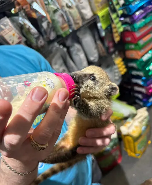 Garden State Pet Center Picture 6