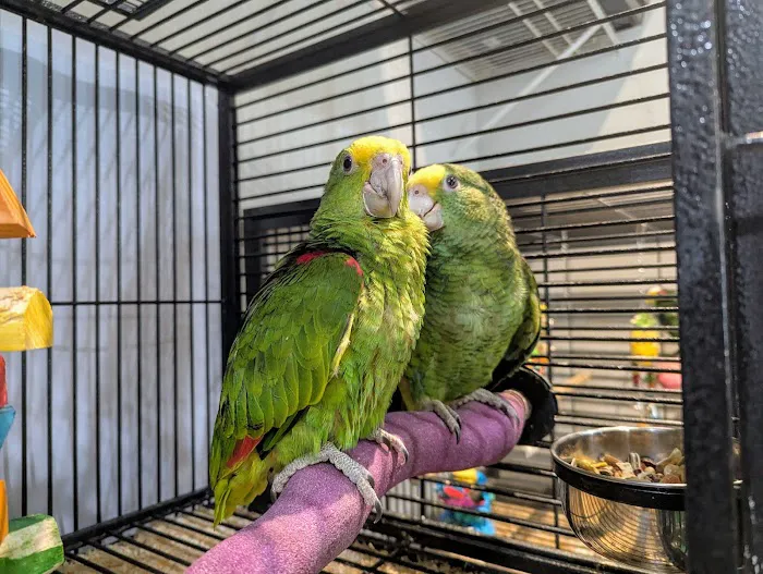 Garden State Pet Center Picture 9