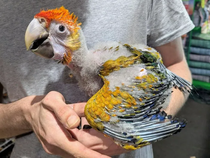 Garden State Pet Center Picture 8