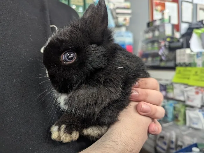 Garden State Pet Center Picture 10