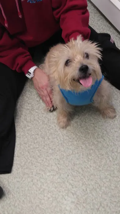 Edinburg Animal Hospital Picture 6