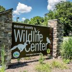 Wildlife Center Friends