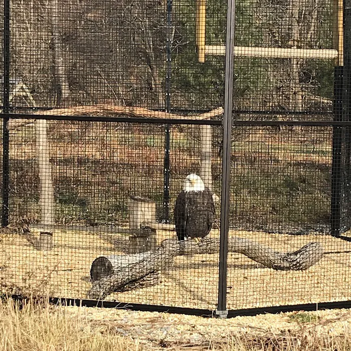 Wildlife Center Friends Picture 3