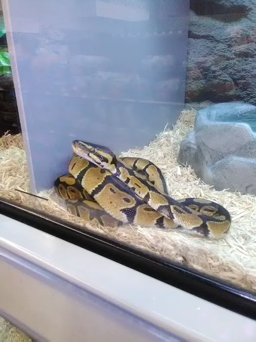 Petco Picture 2
