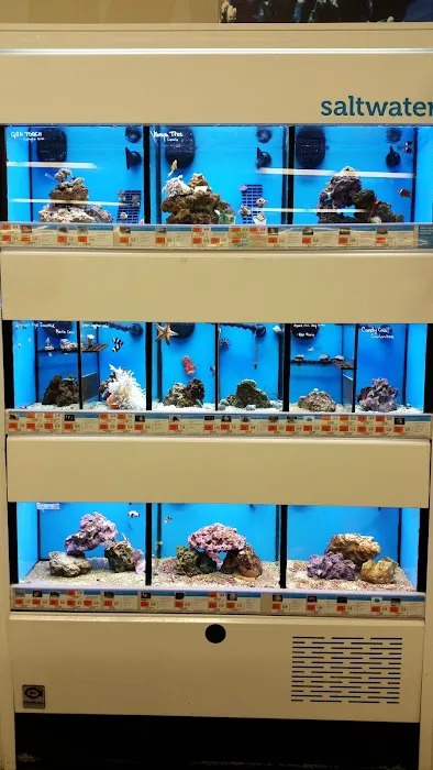 Petco Picture 9