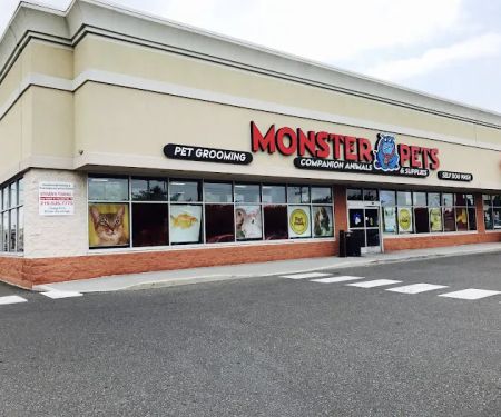 Monster Pets