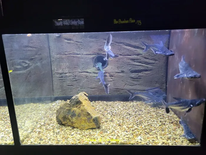 Monster Pets Picture 6
