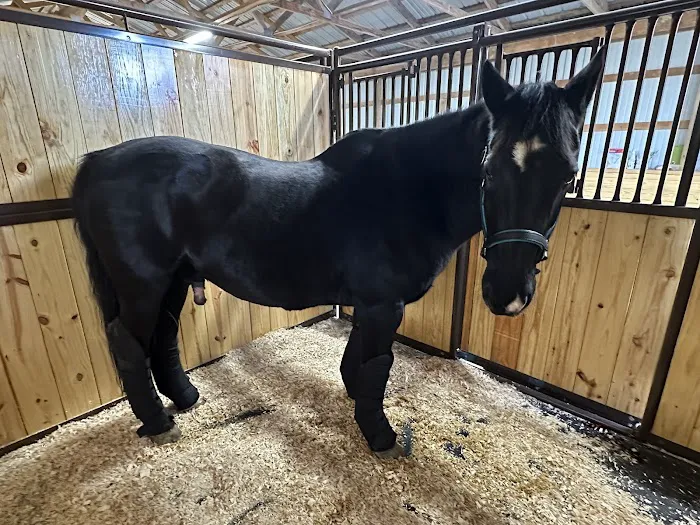 Garden State Equine Veterinary Dentistry, LLC Picture 1