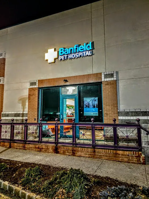 Banfield Pet Hospital Picture 6