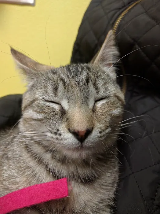 Banfield Pet Hospital Picture 8