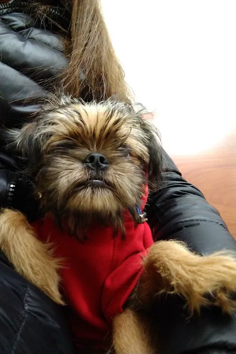 Banfield Pet Hospital Picture 5