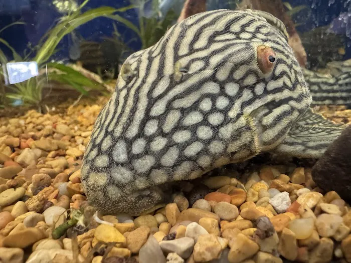 Riverside Reef Aquatics LLC Picture 4