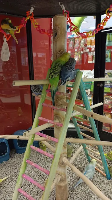 Petco Picture 5