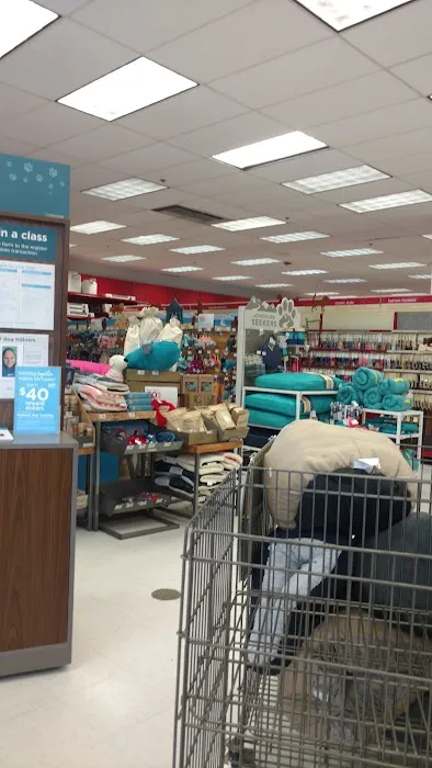 Petco Picture 3