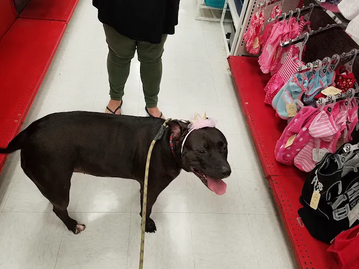 Petco Picture 7
