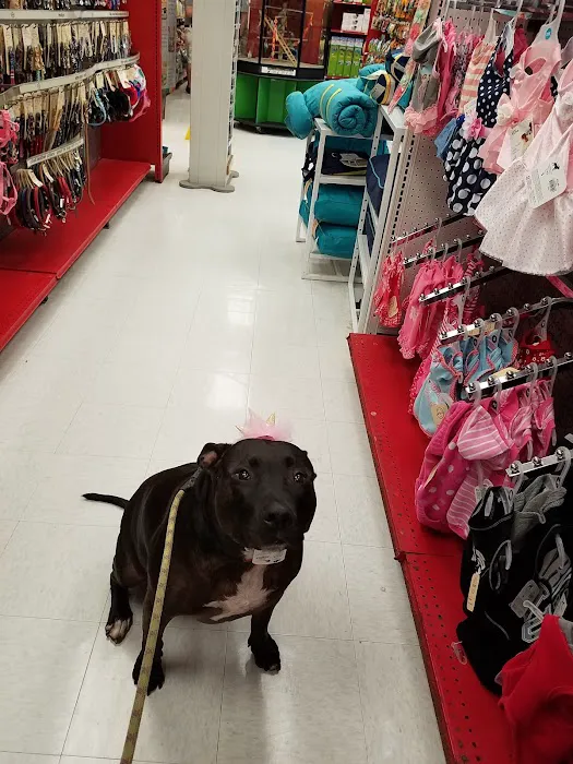 Petco Picture 6