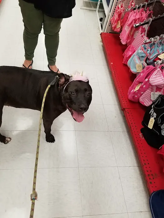 Petco Picture 8