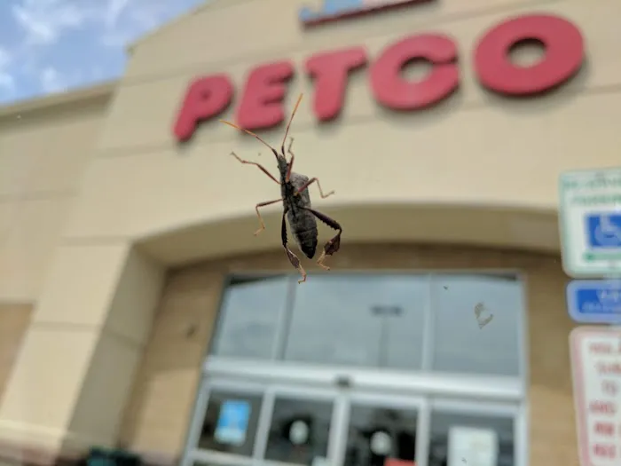 Petco Picture 7