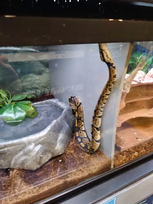 Petco Picture 9