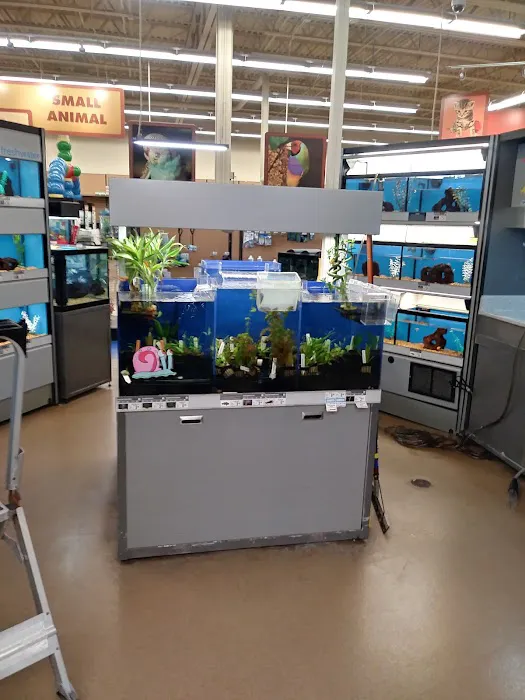 Petco Picture 10