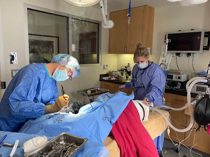 Progressive Veterinary Care Picture 2