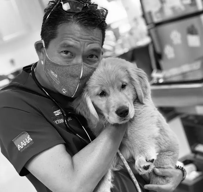 Progressive Veterinary Care Picture 1