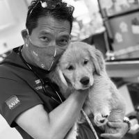 Progressive Veterinary Care ico