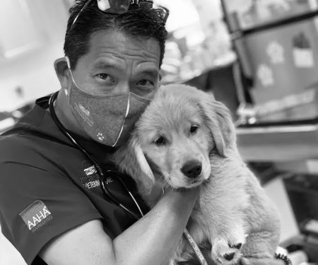 Progressive Veterinary Care