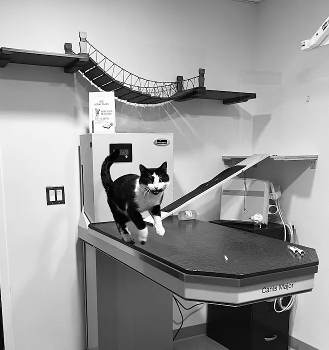 Progressive Veterinary Care Picture 6